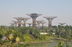 Singapore (64)