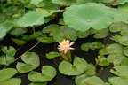 Jinan (62)